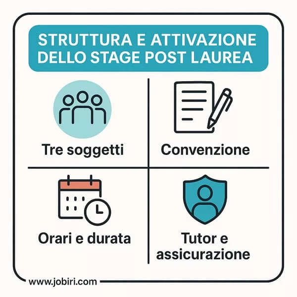 struttura attivazione stage post laurea