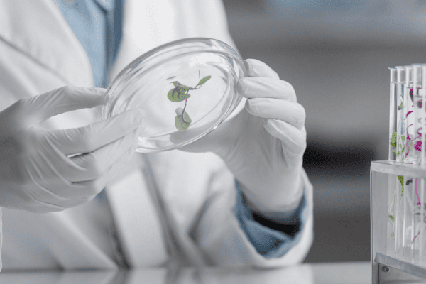 biologo cosa fa