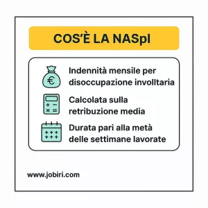 cos'è la naspi