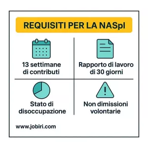 requisiti naspi